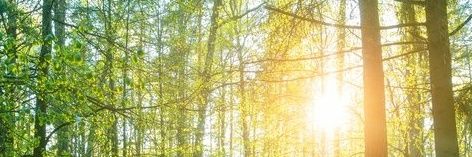 m_tregers's profile banner image