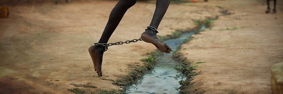 David G. Marcos banner