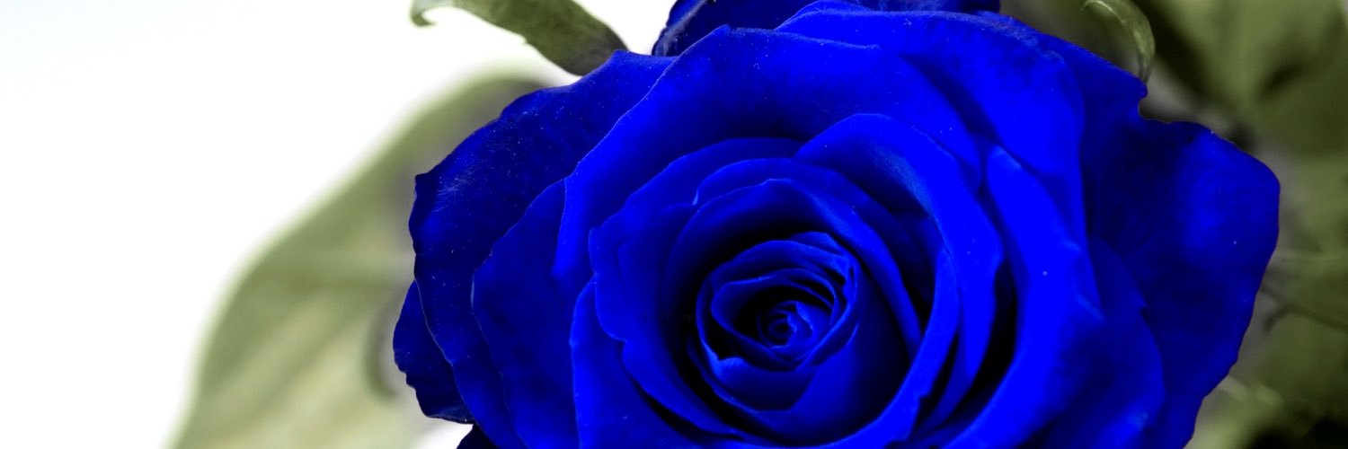 ChinettaHenry's profile banner image