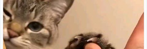 hardouthere111's profile banner image