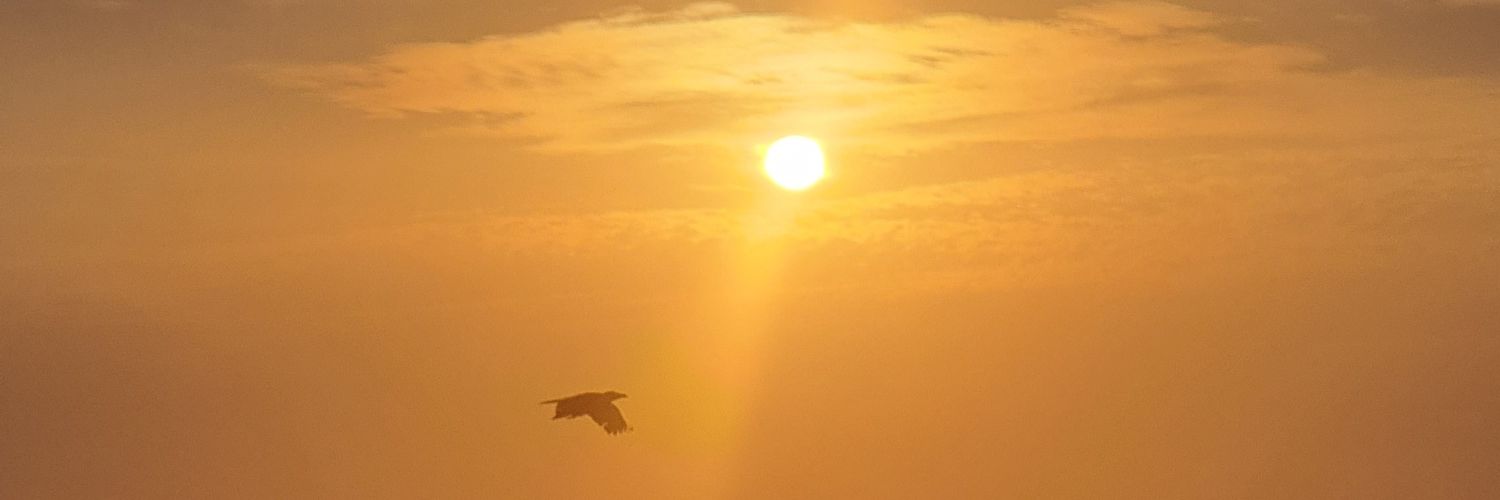 Dvr1104's profile banner image