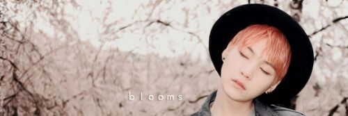 buanqtan's profile banner image