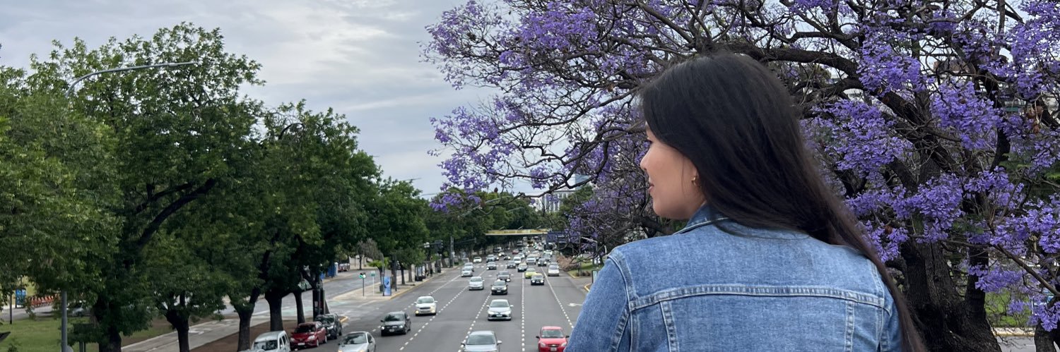 Lu_GonzalezG's profile banner image