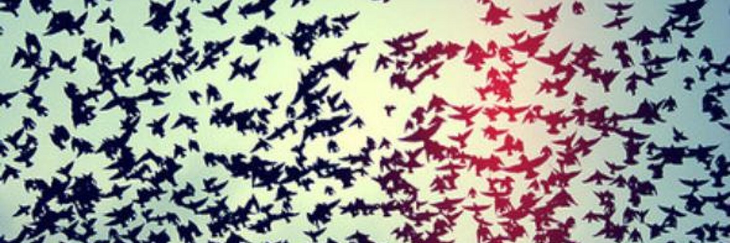 OLRÎC 🍁 banner