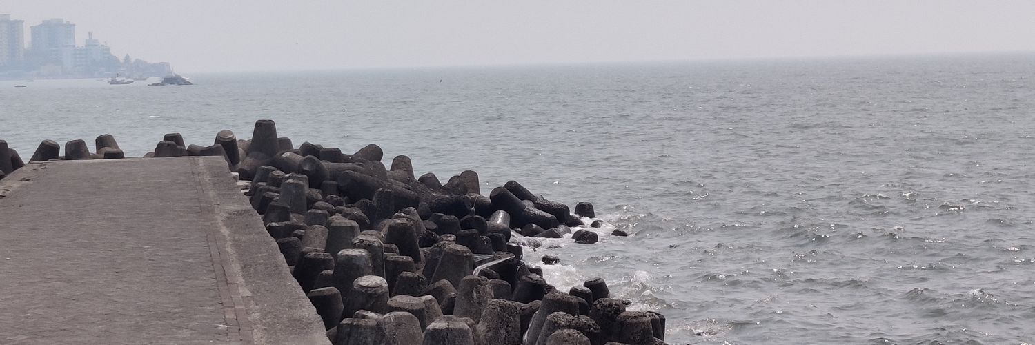 Bekapilagarwal's profile banner image