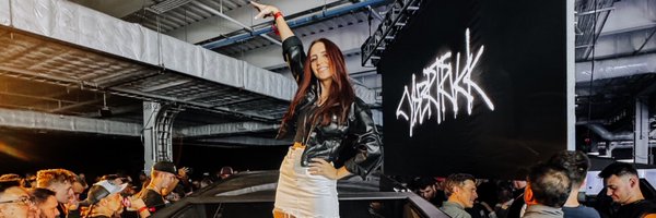 TheTeslaHoe Profile Banner
