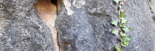 xarovi Profile Banner