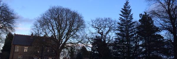 jasonreyre Profile Banner