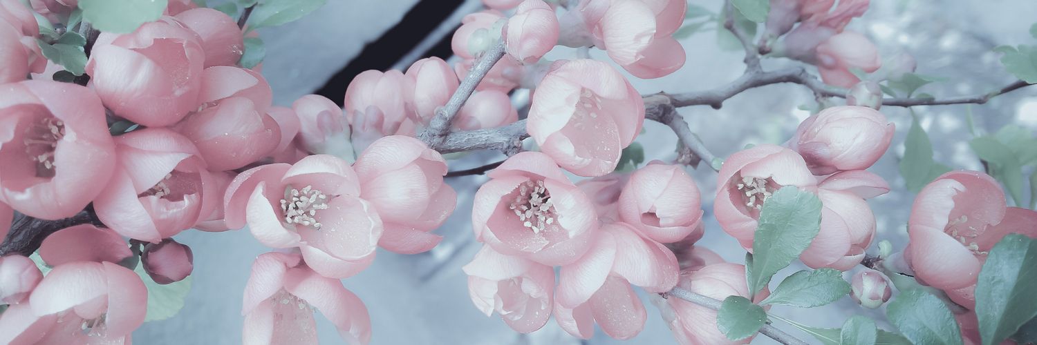 jillyj98's profile banner image