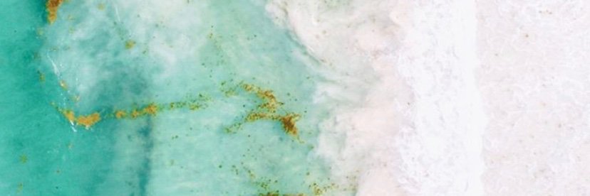 beludellosa's profile banner image