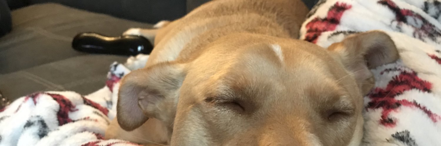 kelabellaaa's profile banner image