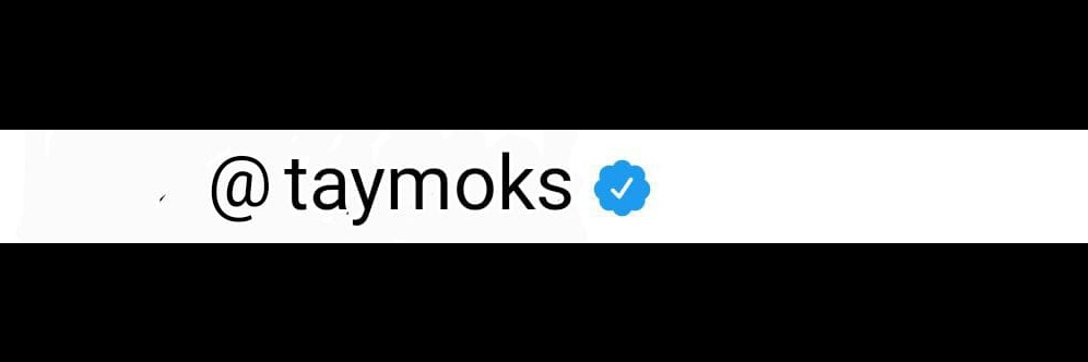 taymoks's profile banner image