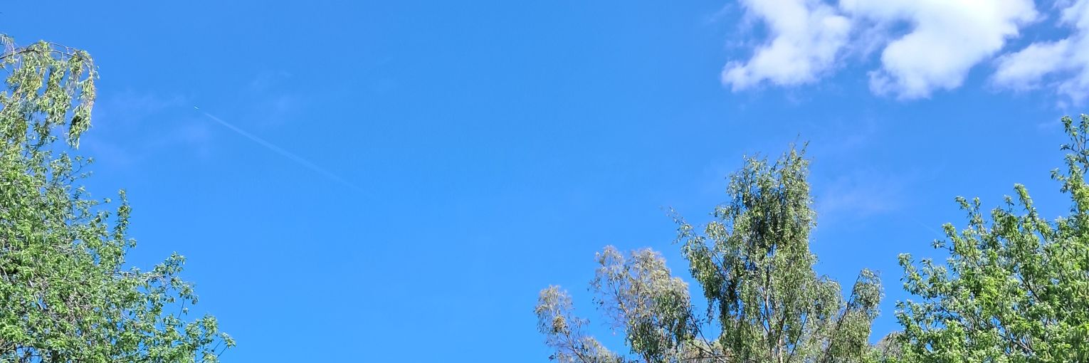 Karen Stafford banner