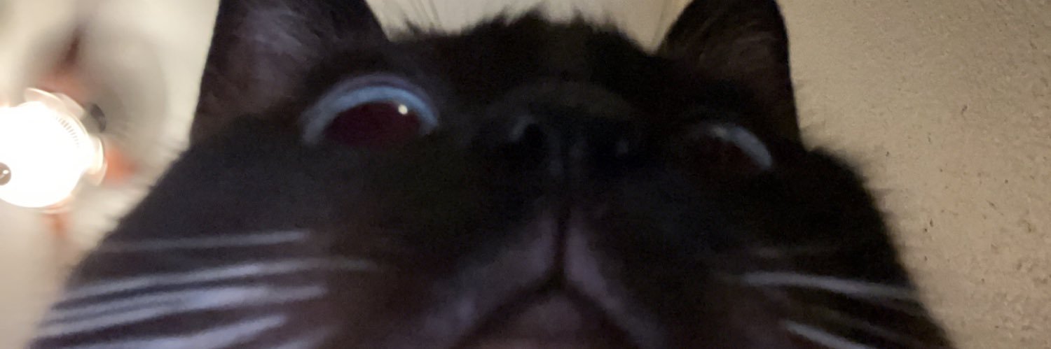 SarahTorok's profile banner image