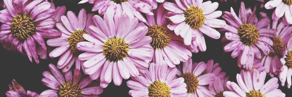 7valeritha's profile banner image