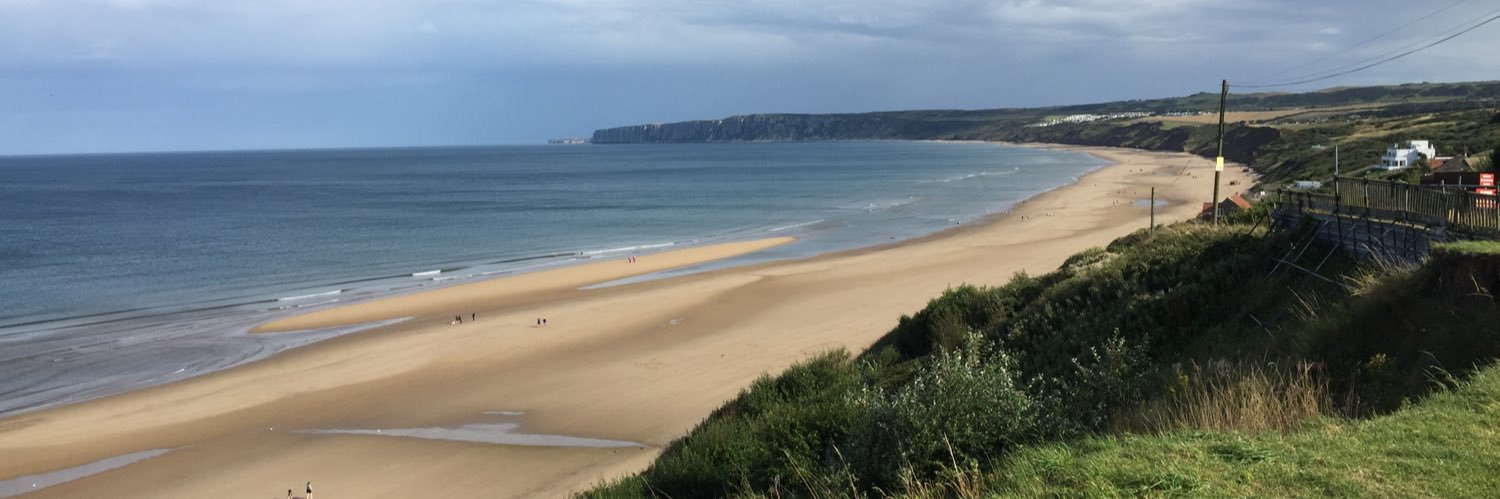 Katharine Knight banner