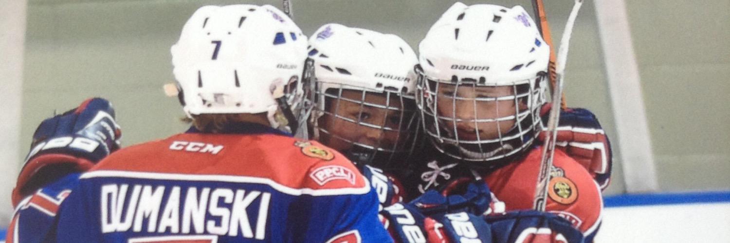bauerdumanski's profile banner image