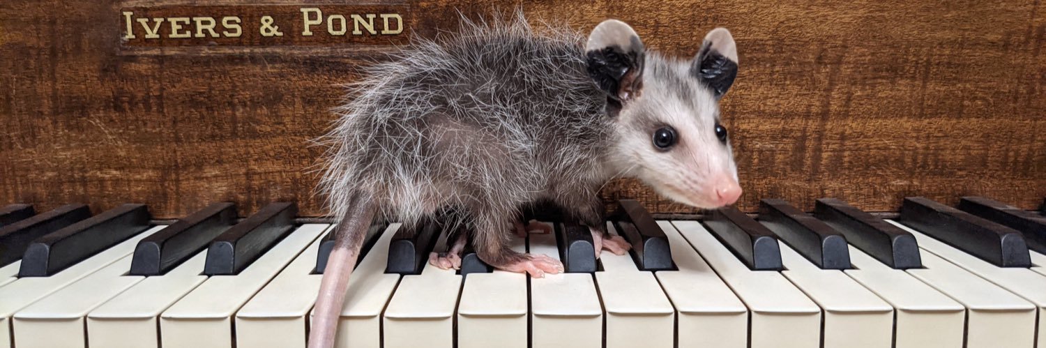 SupremoEmo's profile banner image