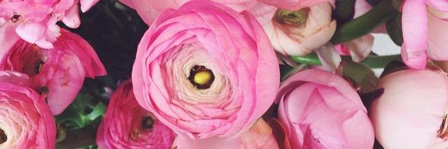 mariakamlowsky's profile banner image