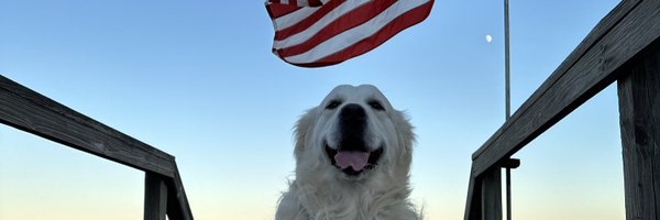 WBMason Profile Banner