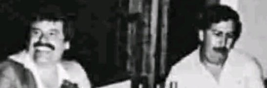 saintigr's profile banner image