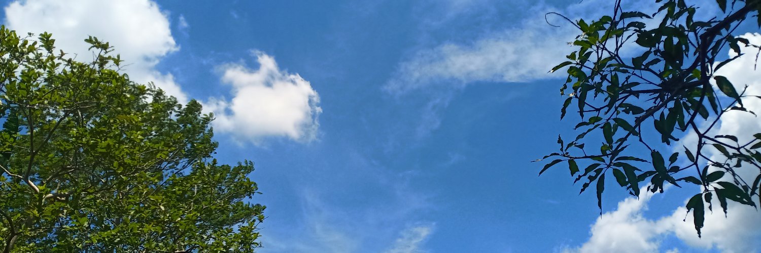 chokies_17's profile banner image