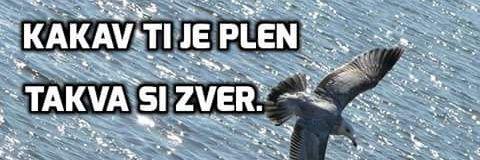 Baš ta banner
