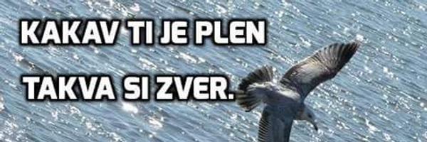 Seviceva Profile Banner