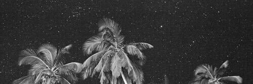 robertanthonyra's profile banner image