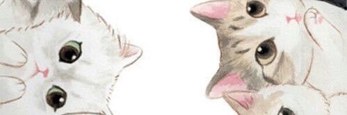 Sarita Melo banner