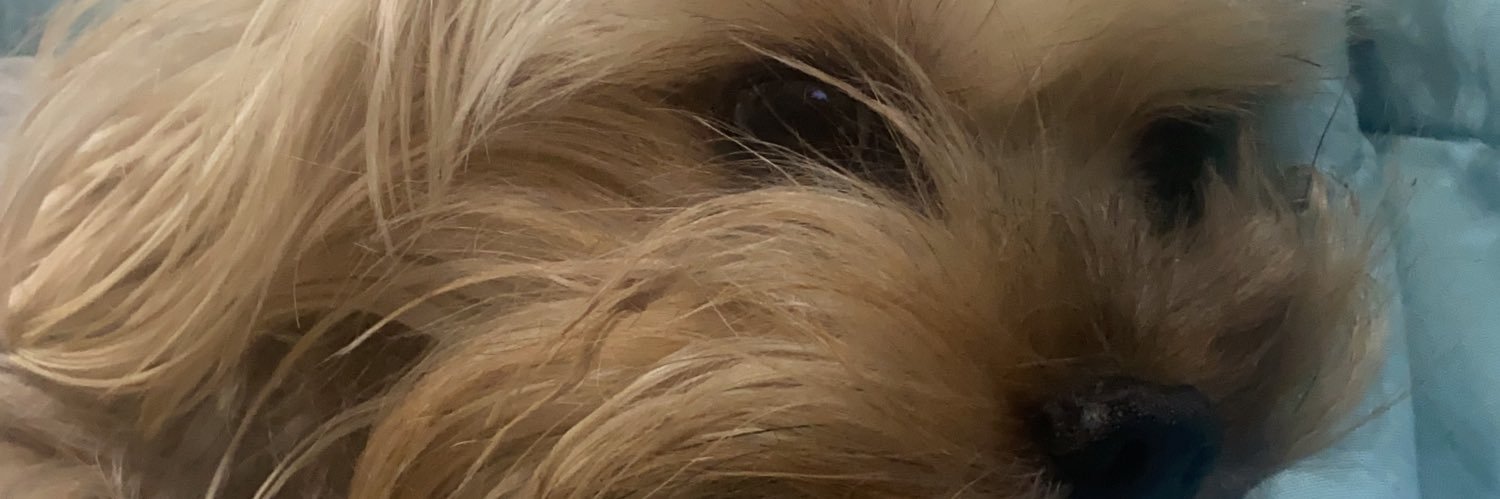 fef778cd3f9743f's profile banner image