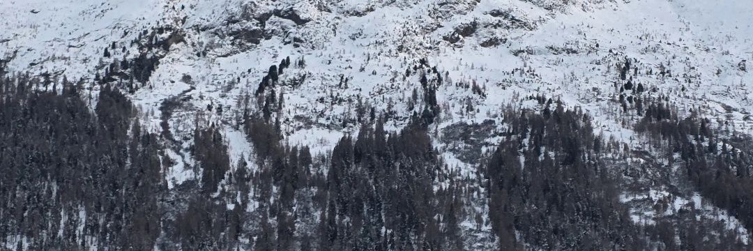 zaragar10's profile banner image