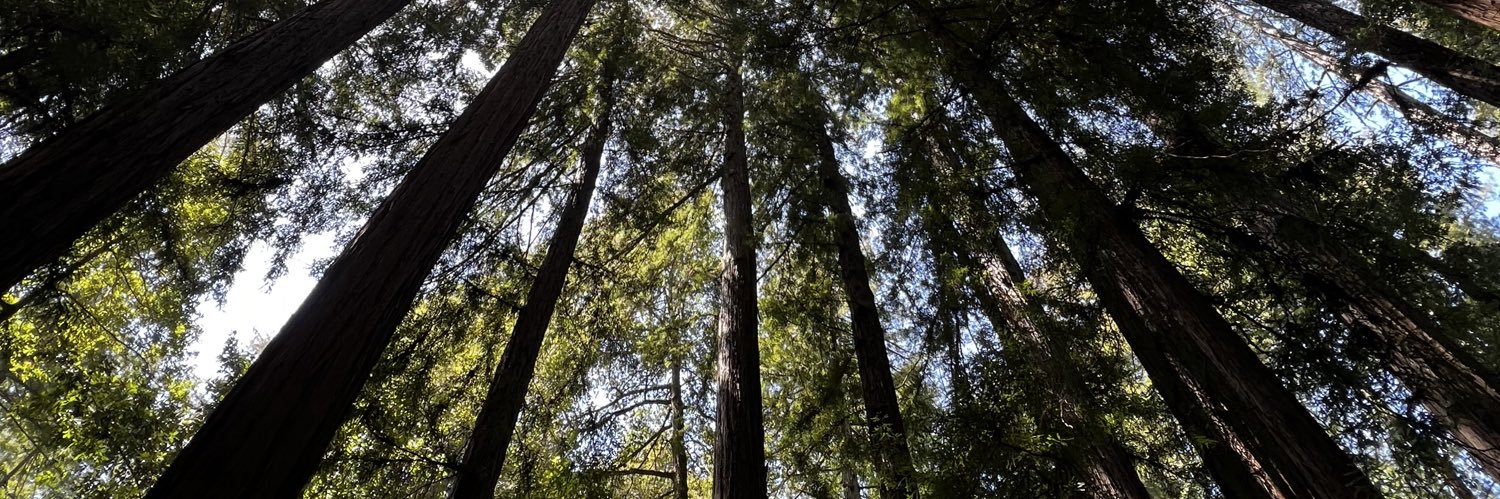 Finbarr Taylor banner