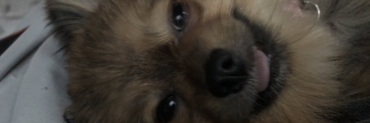 Kushdashian's profile banner image