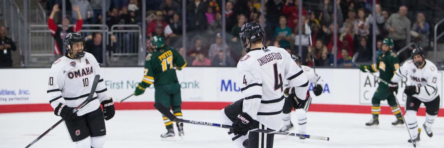 Luc Snuggerud banner