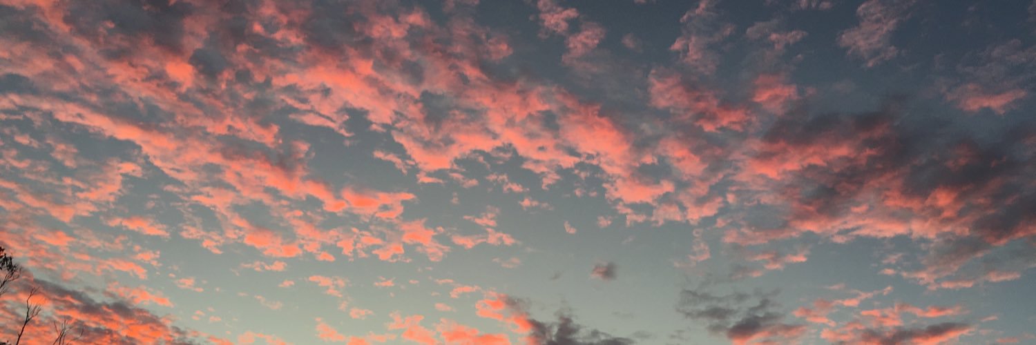 BRyzza's profile banner image