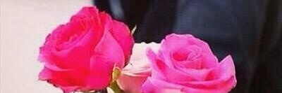 shivanibrahim1's profile banner image