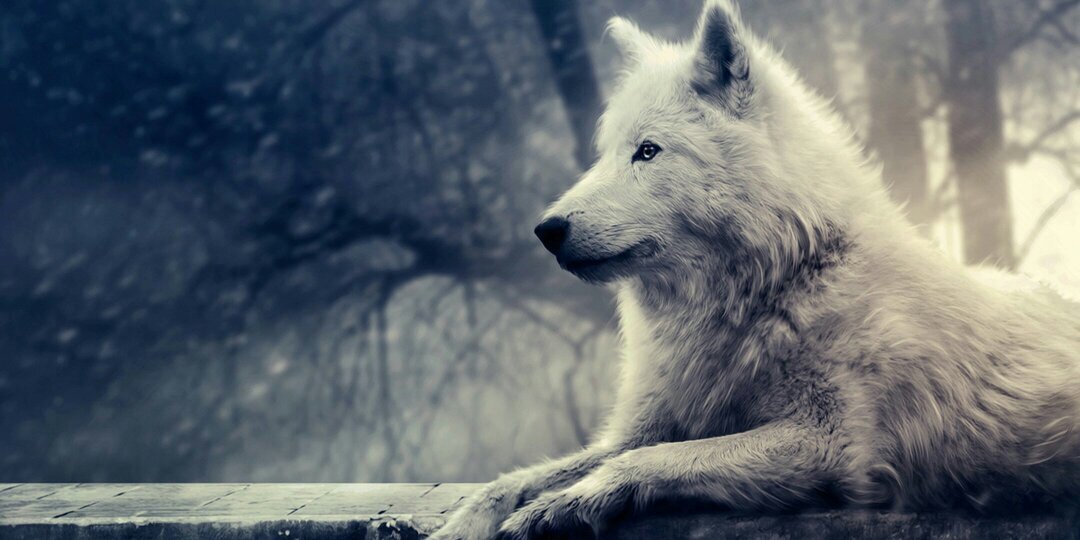grhan_bar's profile banner image