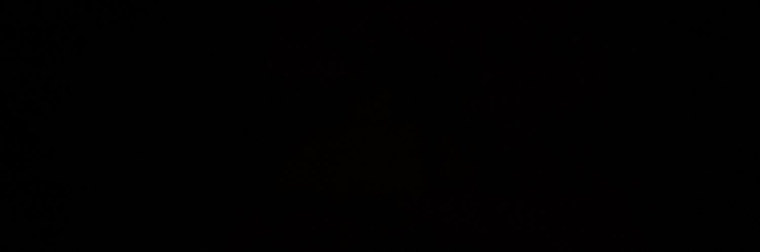 lauraryang's profile banner image