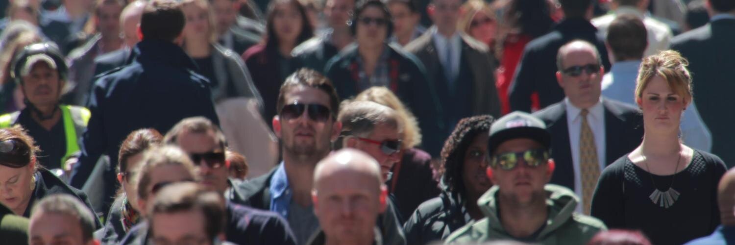 Amateur Demographer banner