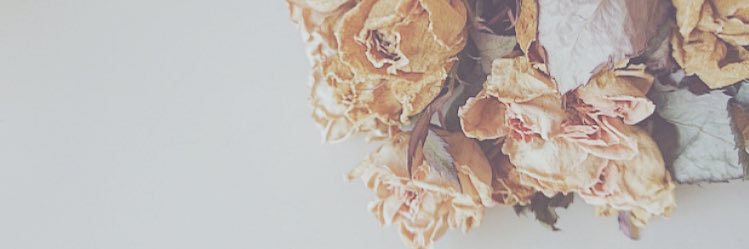 osako0905's profile banner image