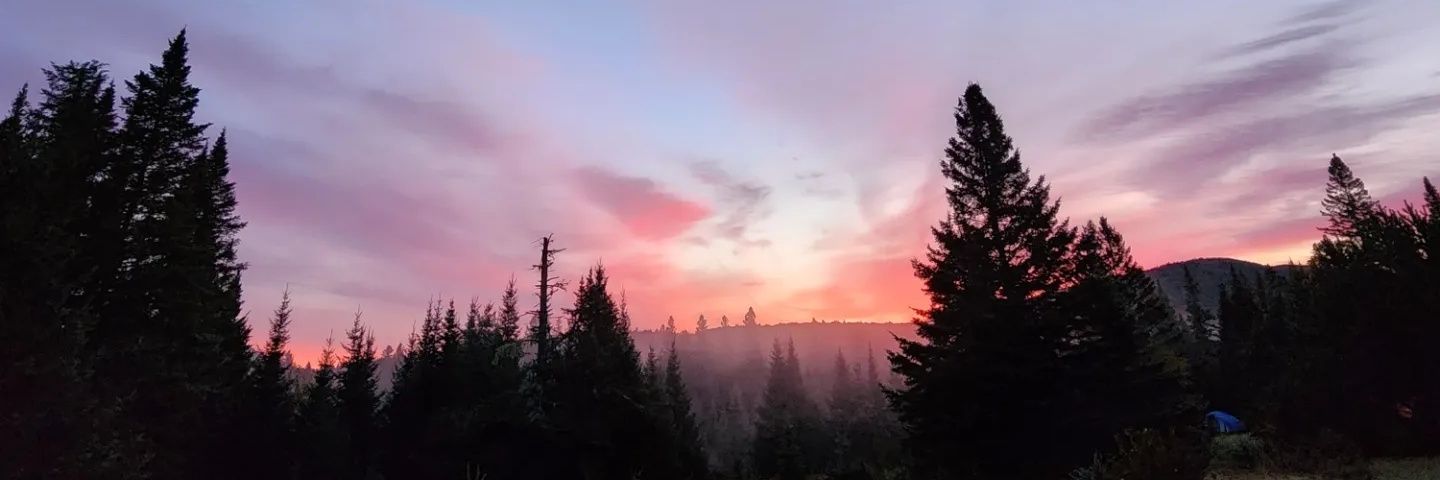 johnprobertt's profile banner image