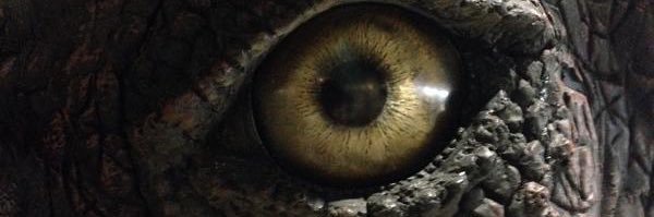 BBBushi's profile banner image