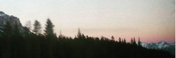 kylaboydd's profile banner image