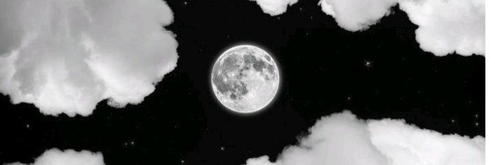 MSobeski's profile banner image