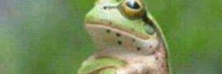 PutrieIneke's profile banner image