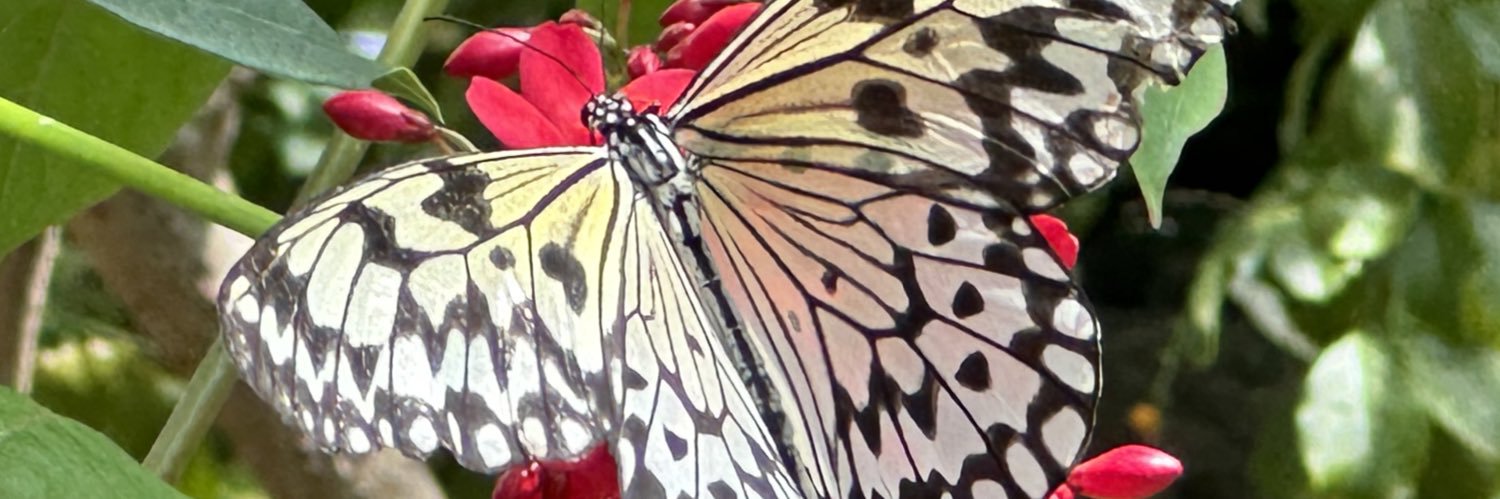 BMeyer1978's profile banner image
