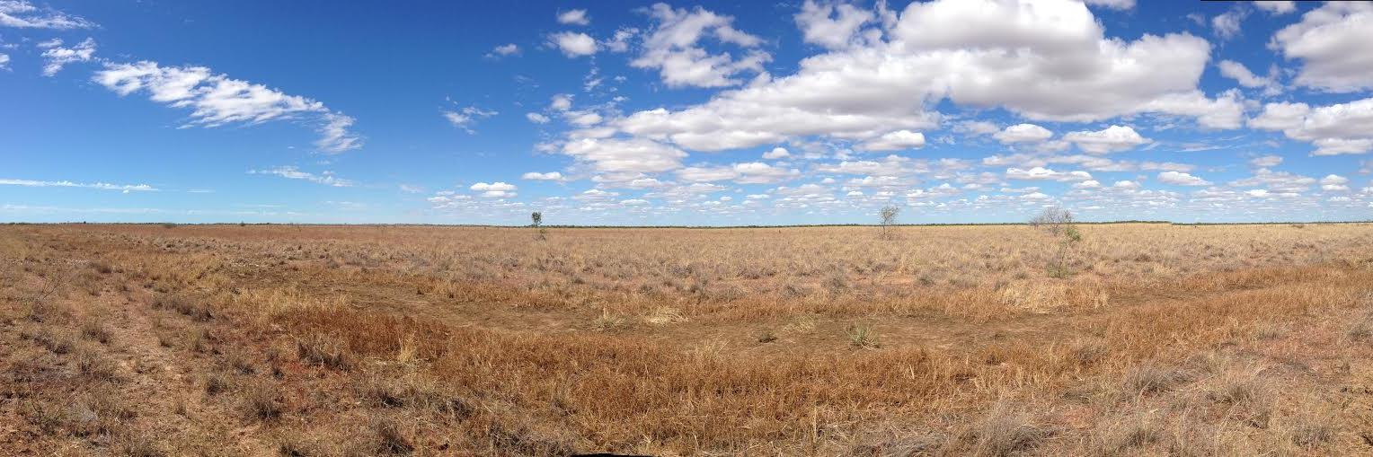 Samantha Townsend banner