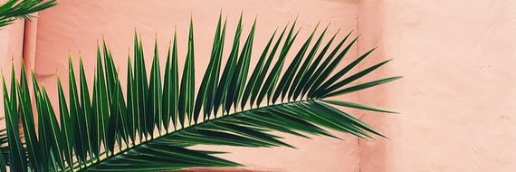 ajtsanchez's profile banner image