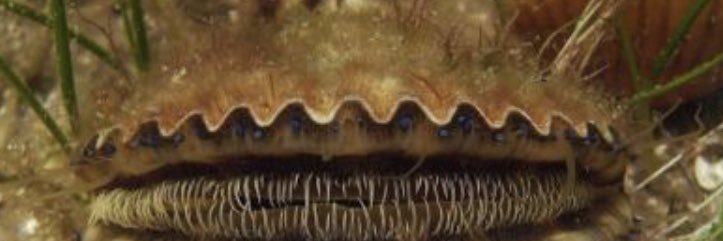 keithisit's profile banner image